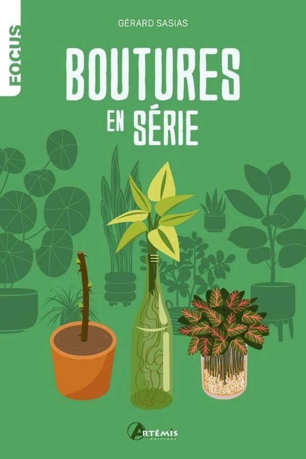 Boutures en série