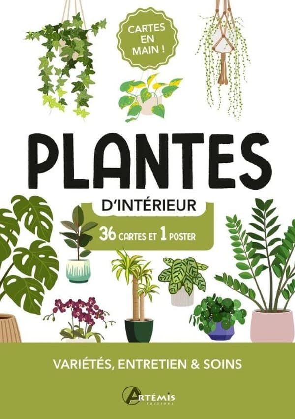 Plantes d'intérieur : 36 cartes et 1 poster