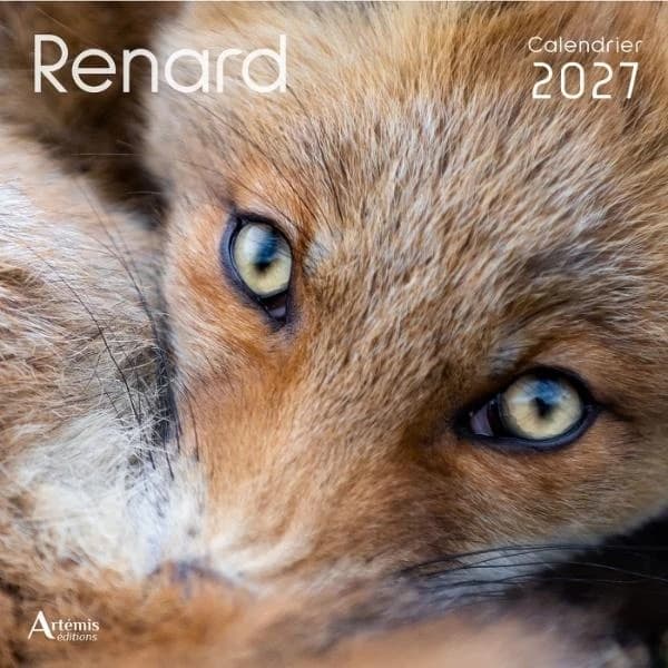 Calendrier Renard (édition 2027)