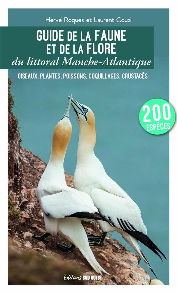 Guide de la faune et de la flore du littoral Manche-Atlantique : oiseaux, plantes, poissons, coquillages, crustacés (5e éd.) Hervé Roques et Laurent Couzi