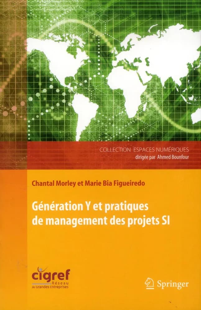 Génération Y et pratiques de management des projets SI