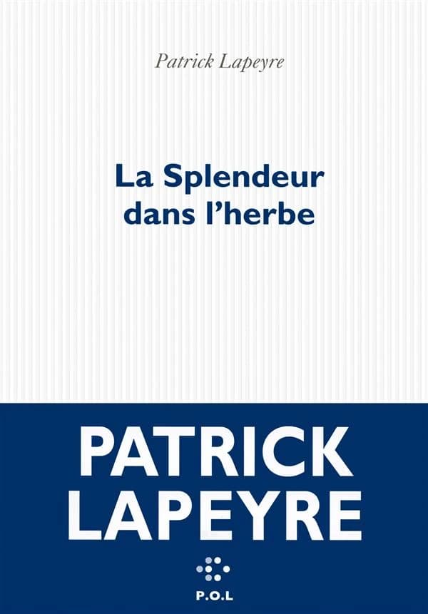 La splendeur dans l'herbe : roman