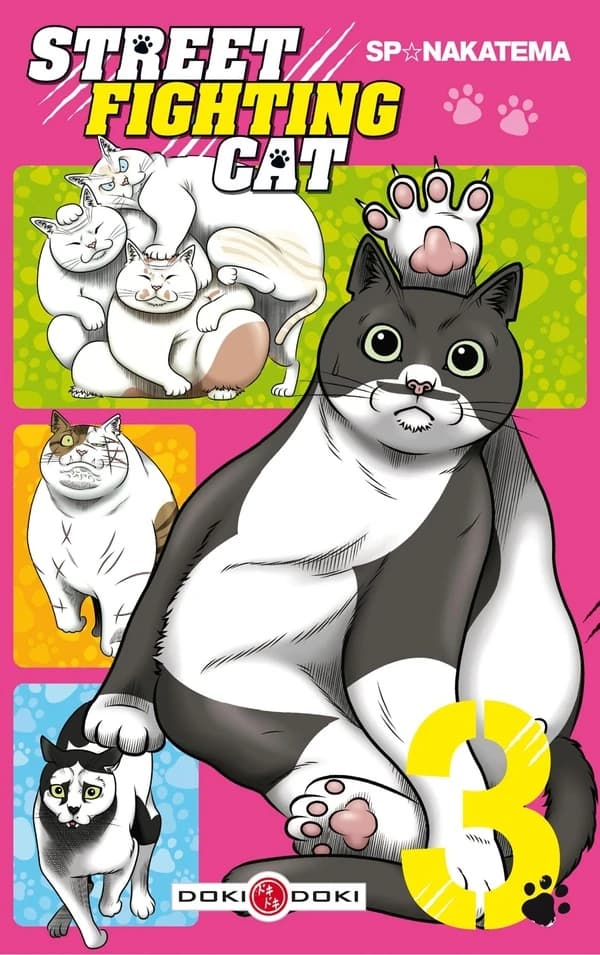 Street fighting cat. 3