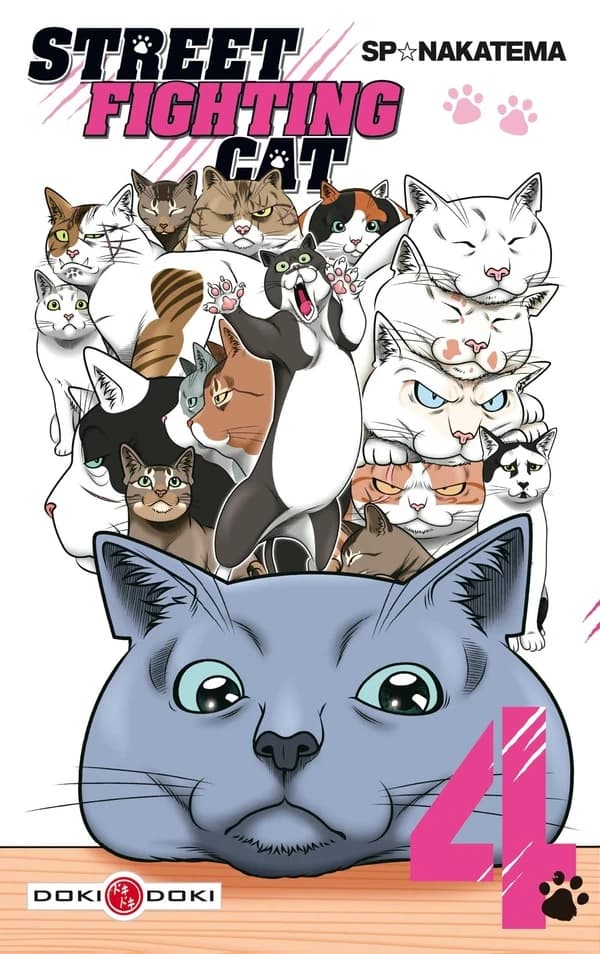 Street fighting cat. 4