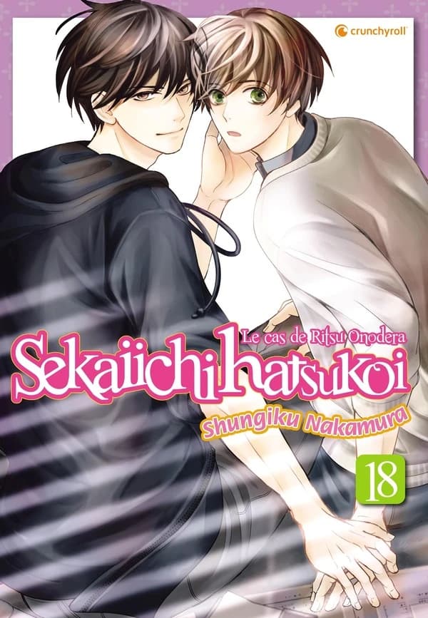 Sekaiichi hatsukoi : le cas de Ritsu Onodera. 18