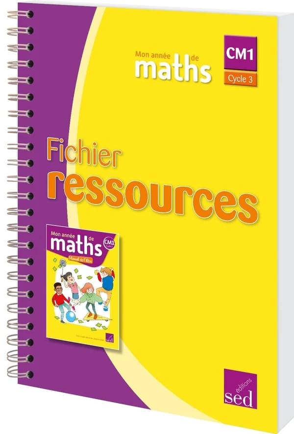 MON ANNEE DE MATHS : CM1 ; guide du maître + ressources numériques