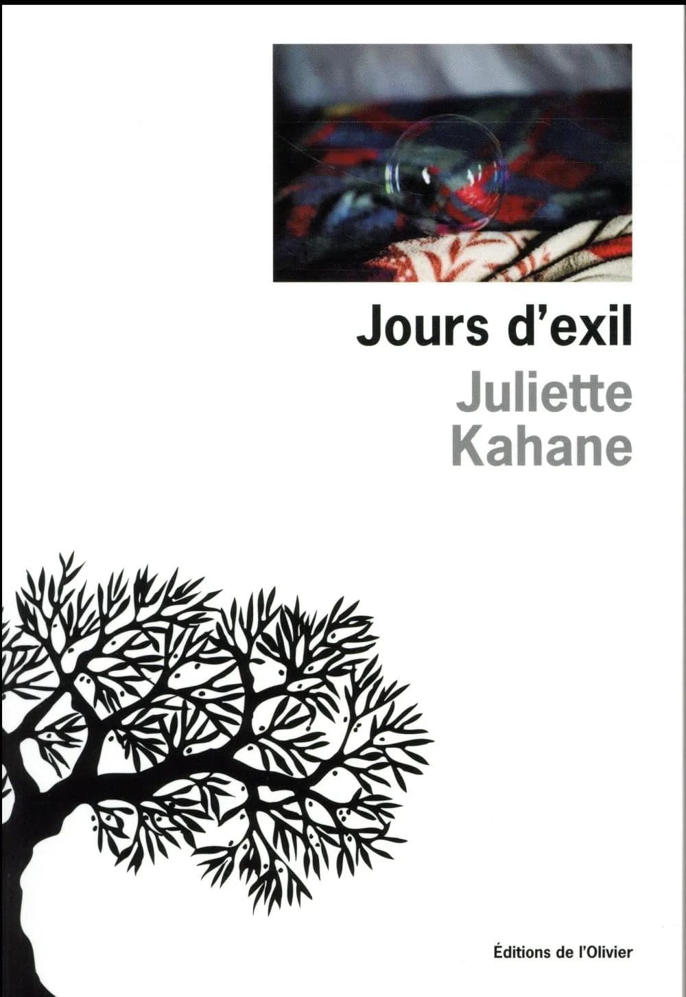 Jours d'exil : une saison au lycée Jean-Quarré
