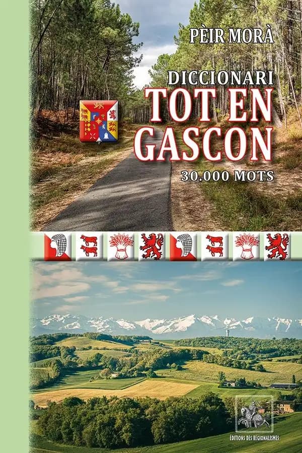 Diccionari tot en gascon ; 30.000 mots
