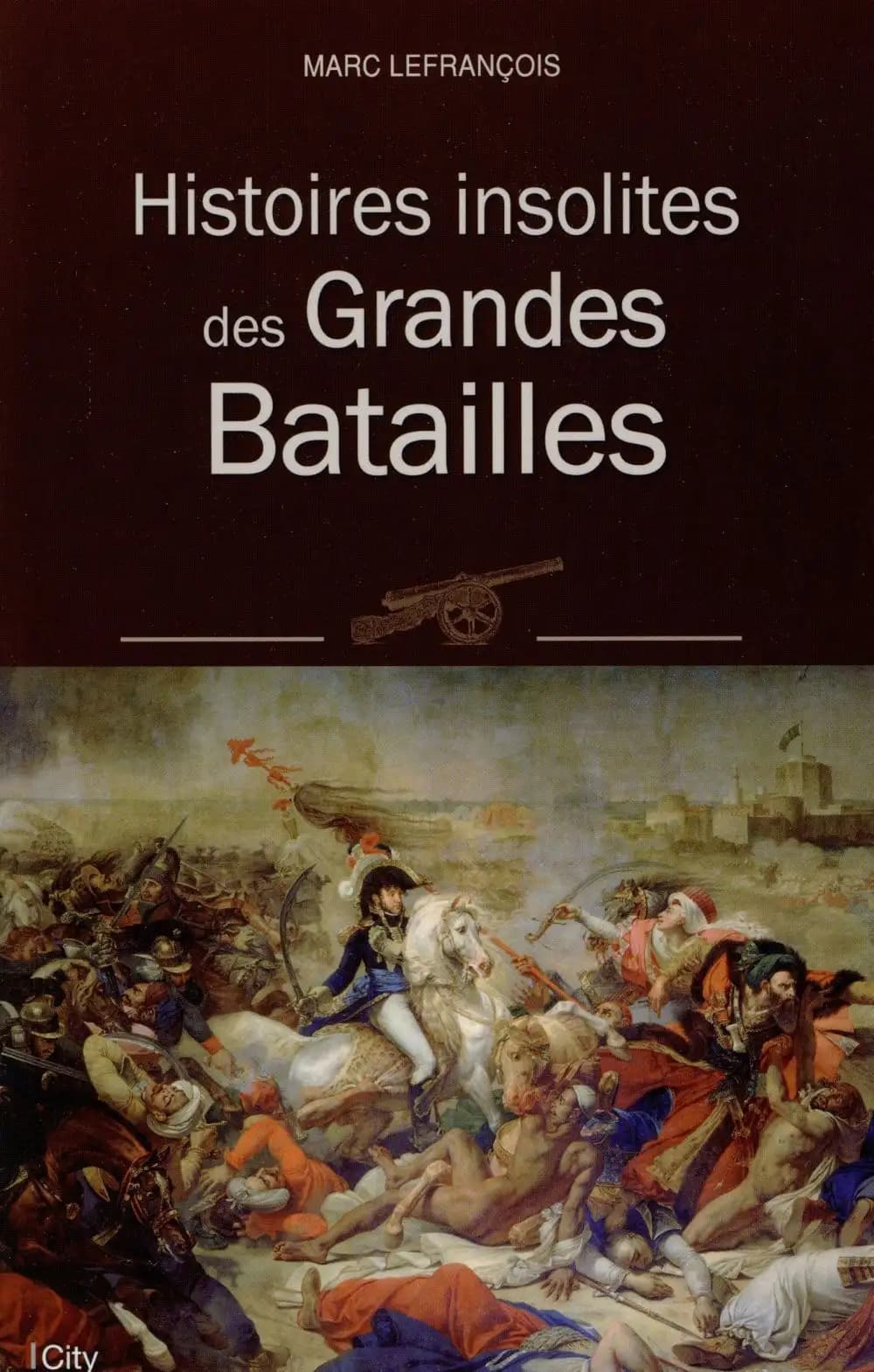 Histoires insolites des grandes batailles