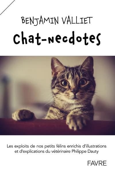 Chat-necdotes : les exploits de nos petits félins