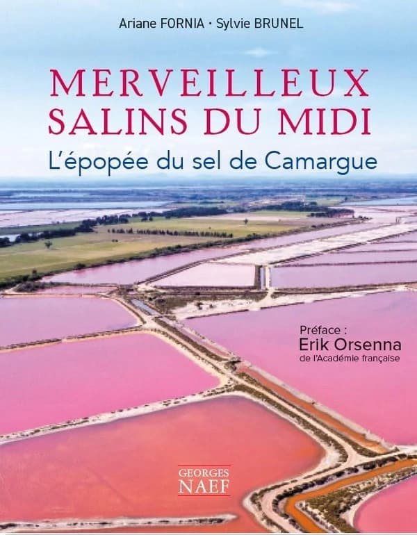 Merveilleux Salins du Midi
