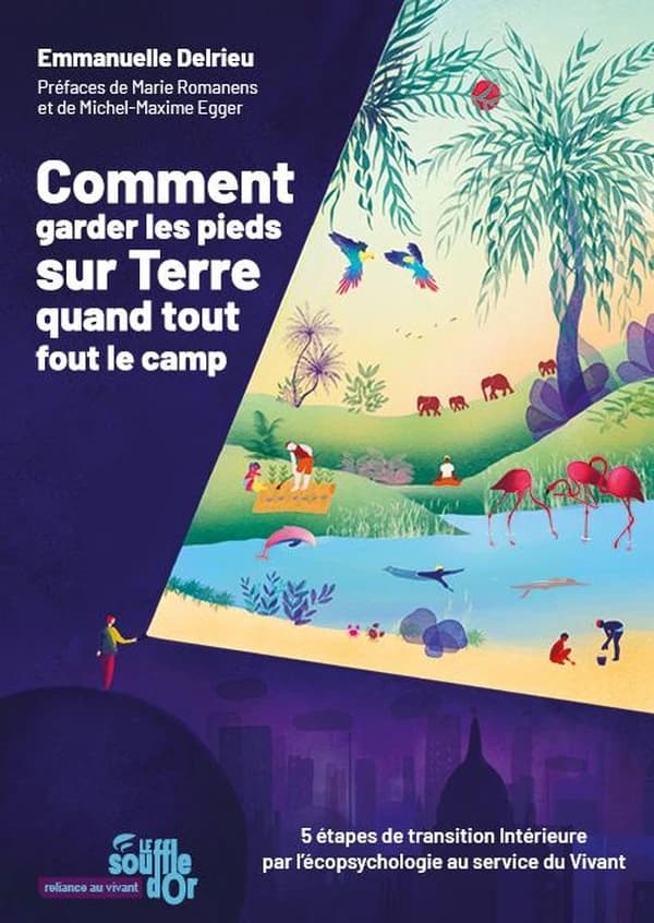 Comment garder les pieds sur Terre quand tout fout le camp : 5 étapes de transition intérieure par l'écopsychologie au service du vivant