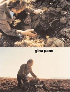 Gina Pane : [exposition, Nantes, Hangar à bananes, 6 février-26 avril 2009]