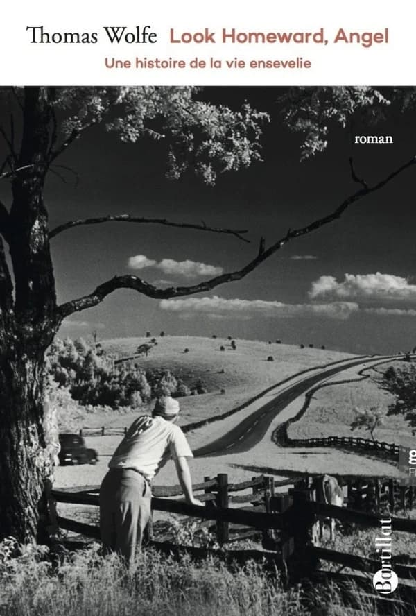 Look homeward, angel : une histoire de la vie ensevelie : roman