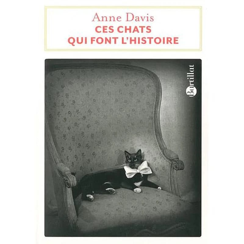 Ces chats qui font l'histoire
