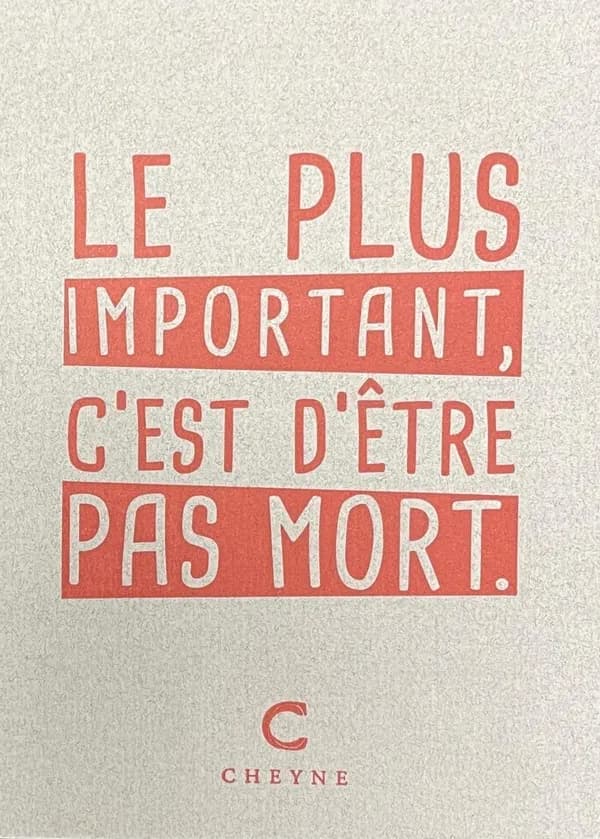 Carnet Poèmes pour grandir : Le plus important, c'est d'être pas mort.