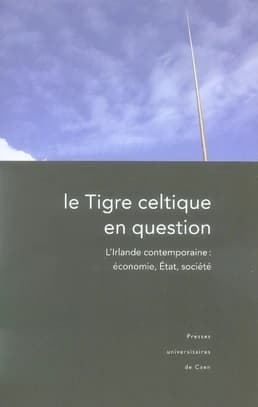 Le Tigre celtique en question : L'Irlande contemporaine : économie, État, société
