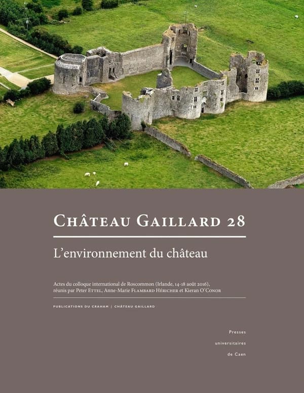 L'environnement du château : actes du colloque international de Roscommon, Irlande, 14-18 août 2016