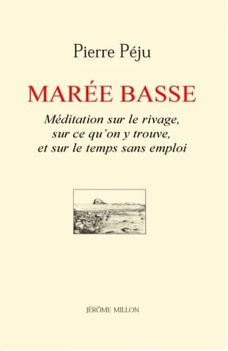 Marée basse : méditation sur le rivage, sur ce qu'on y trouve, et sur le temps sans emploi