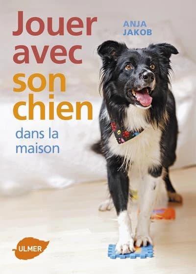 Jouer avec son chien : dans la maison
