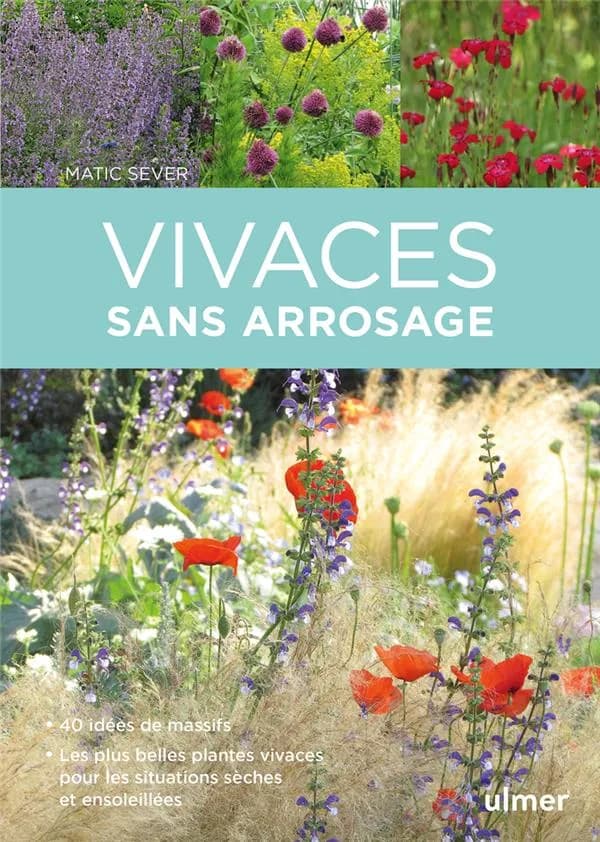 Vivaces sans arrosage : 40 idées de massifs, les plus belles plantes vivaces pour les situations sèches et ensoleillées