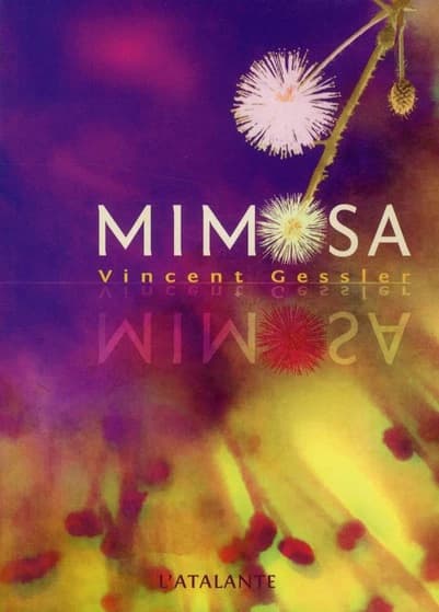 Mimosa