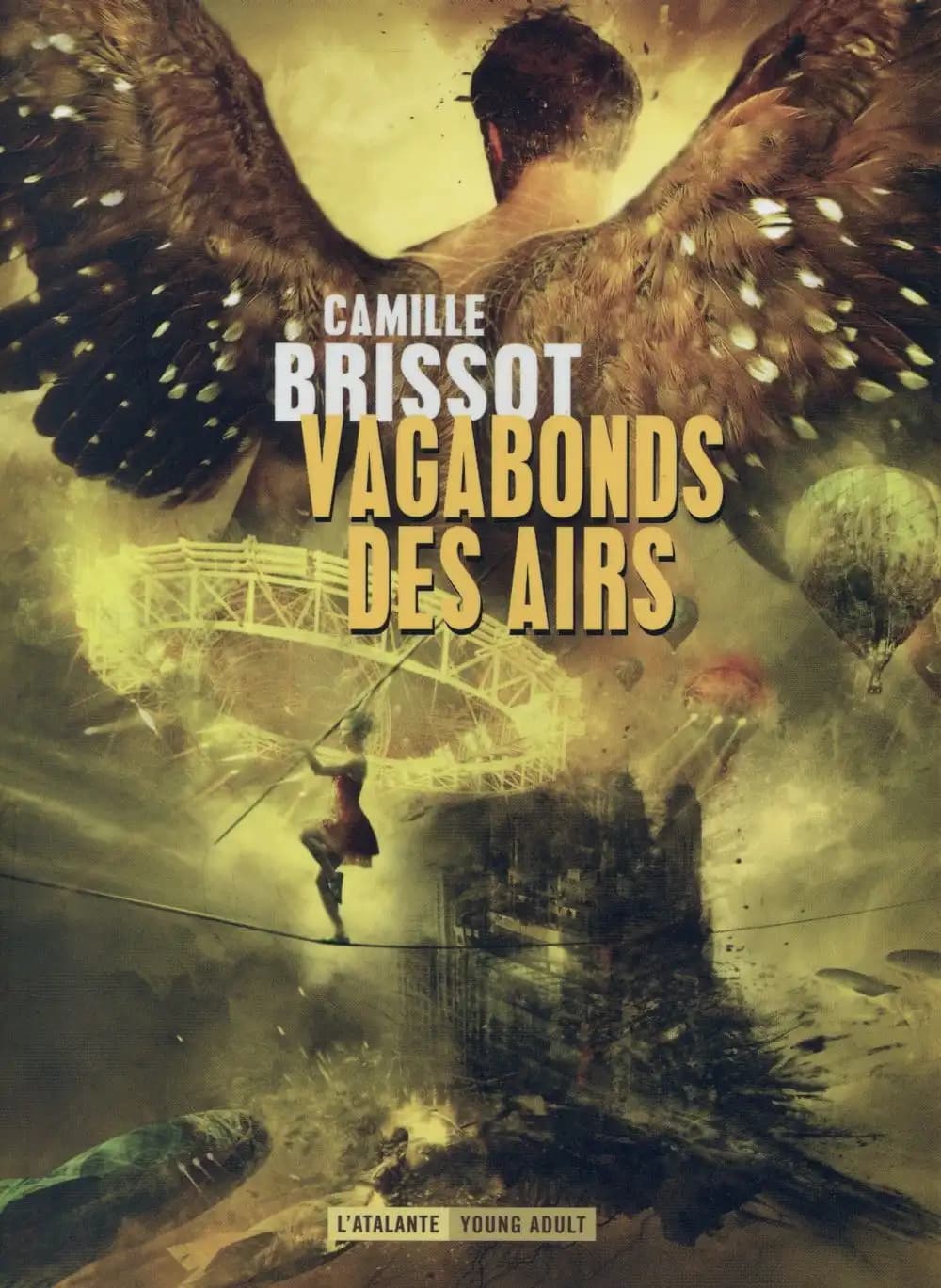 Vagabonds des airs
