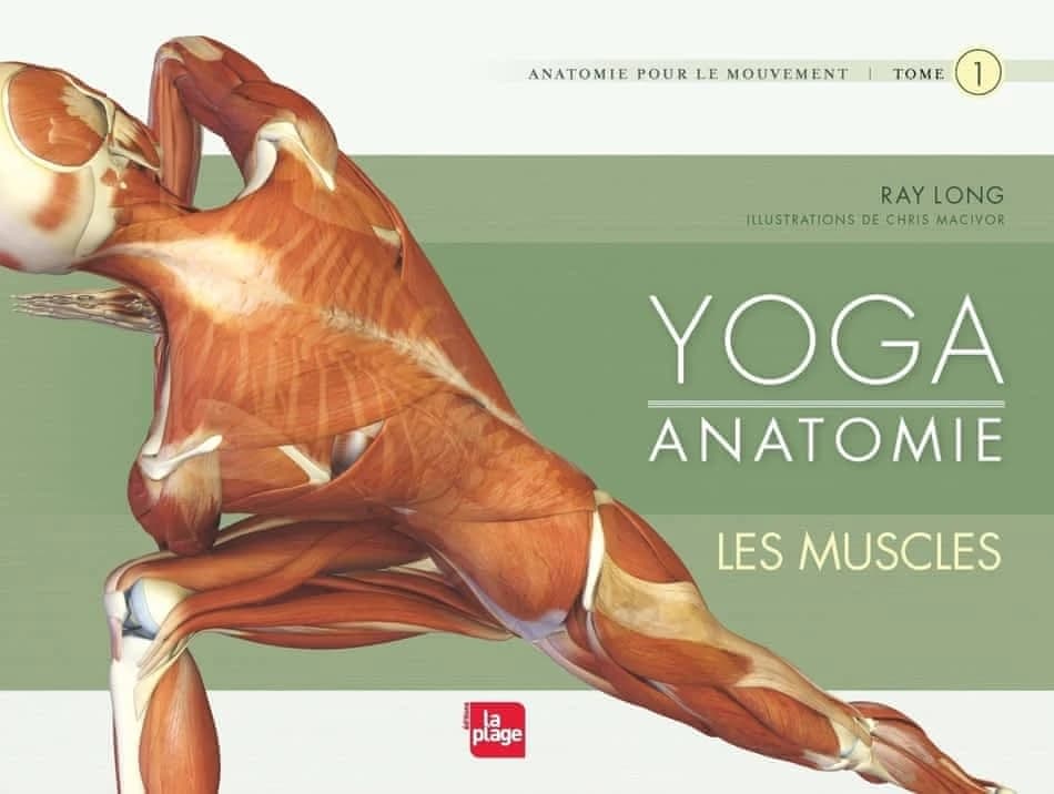 Yoga anatomie
