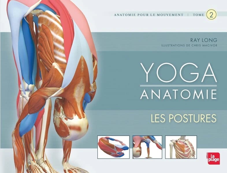 Yoga anatomie