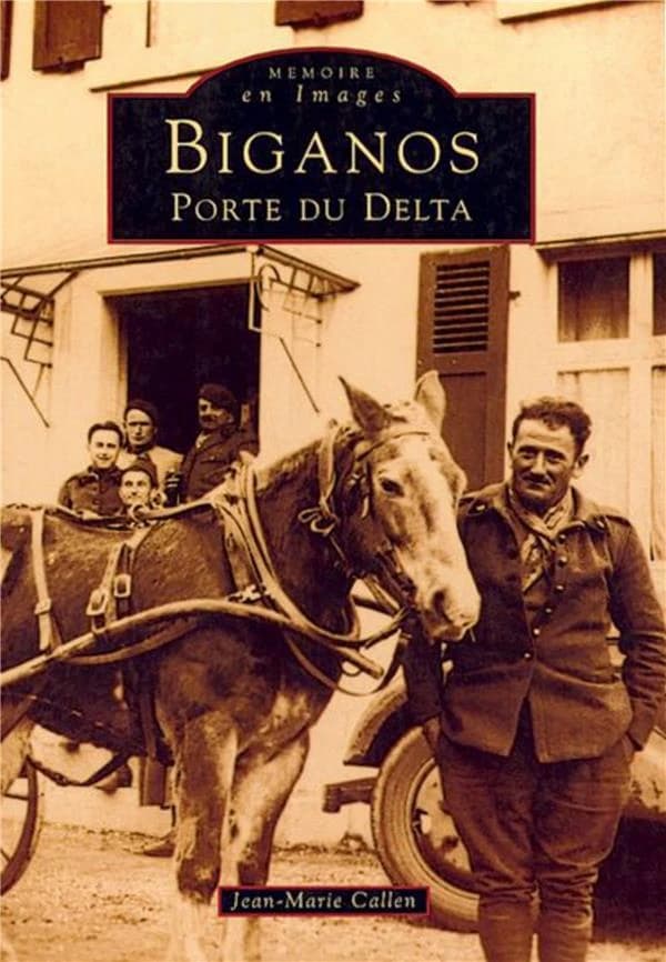 Biganos : porte du delta
