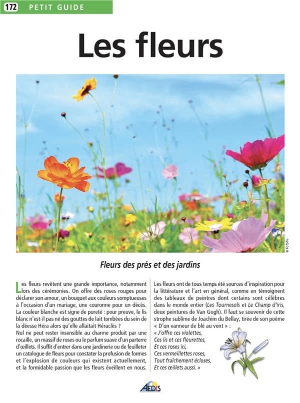 Le jardinage Tome 3 ; les fleurs
