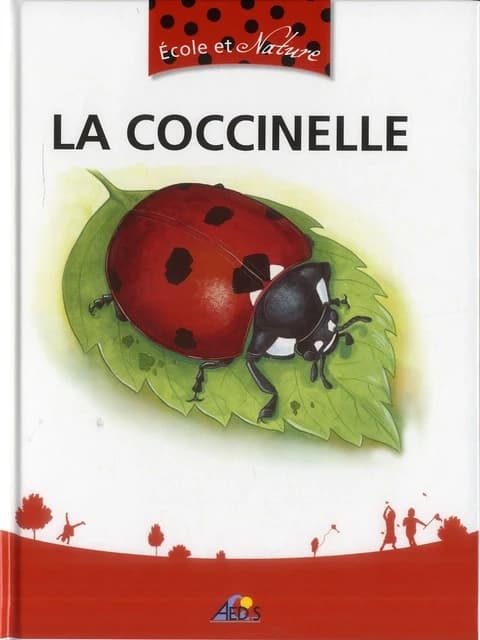 La coccinelle