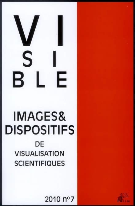 VISIBLE n.7 : camoufler le visible, exhiber l'invisible (édition 2010)