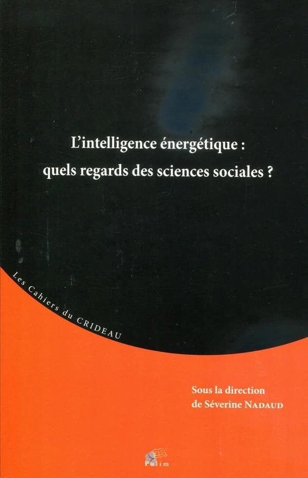 L'intelligence énergétique : quels regards des sciences sociales ?