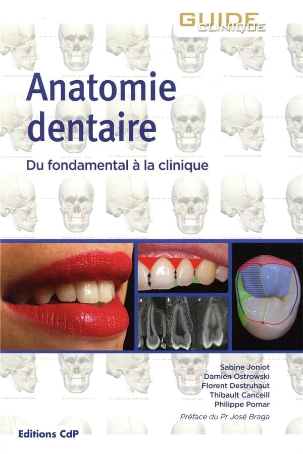 Anatomie dentaire : du fondamental à la clinique