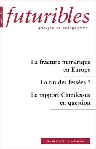 La fracture numérique en Europe