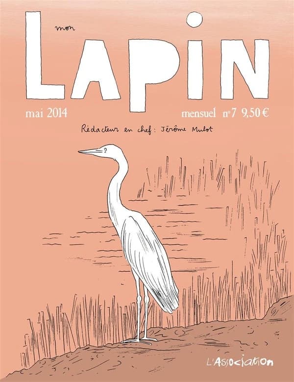 Mon lapin. 7