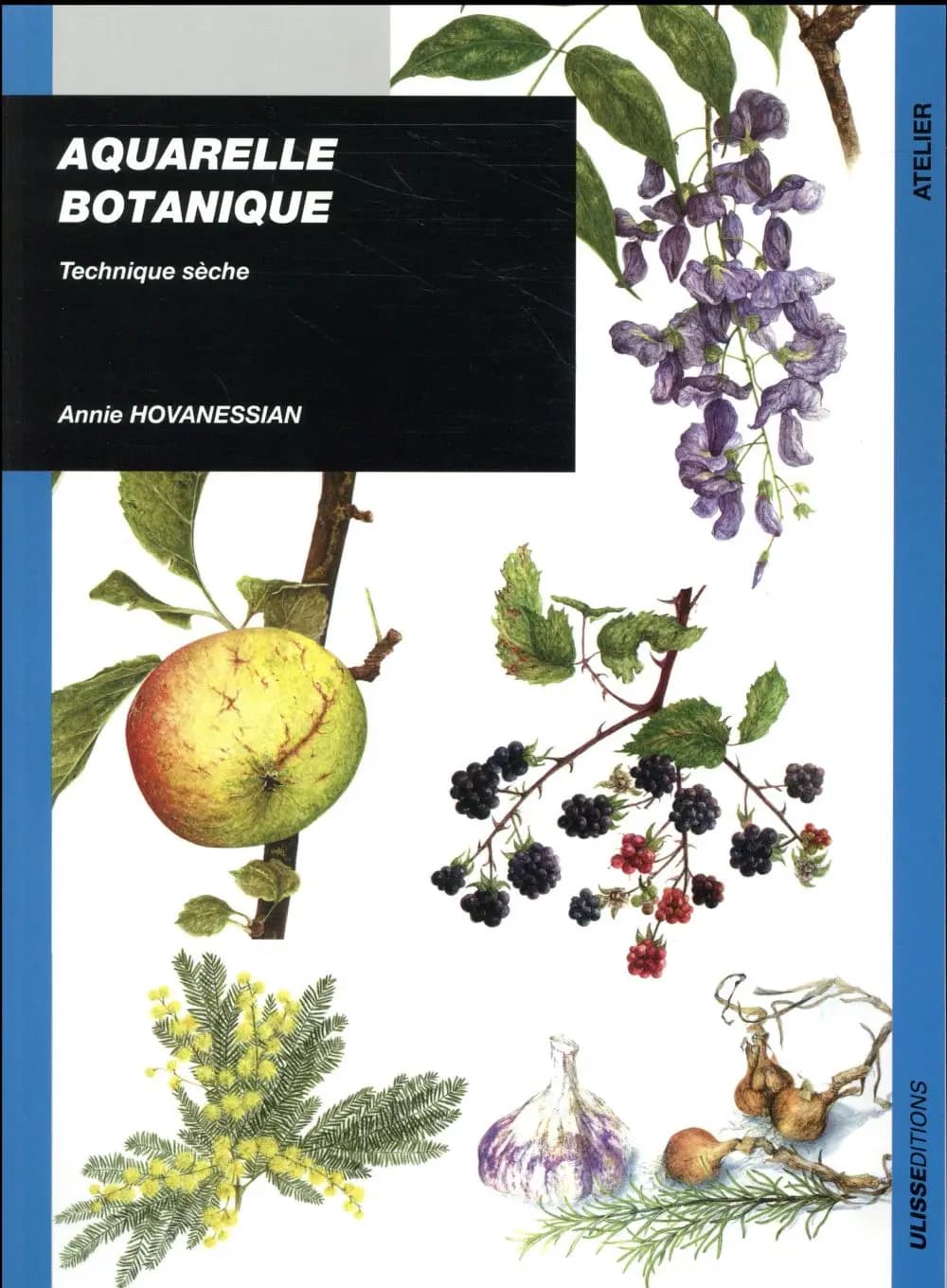 Aquarelle botanique : technique sèche