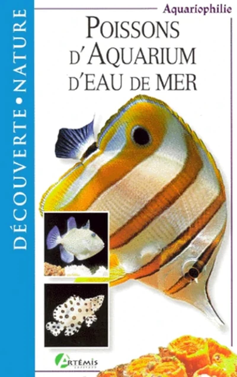 Poissons d'aquarium d'eau de mer