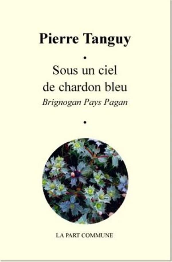 Sous un ciel de chardon bleu : Brigognan pays pagan