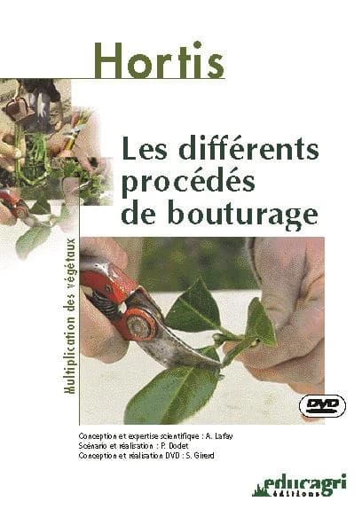 Les différents procédés de bouturage