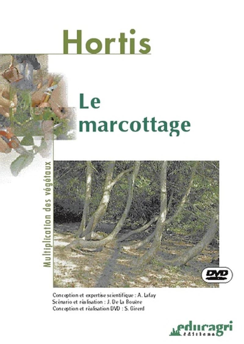 Le marcottage