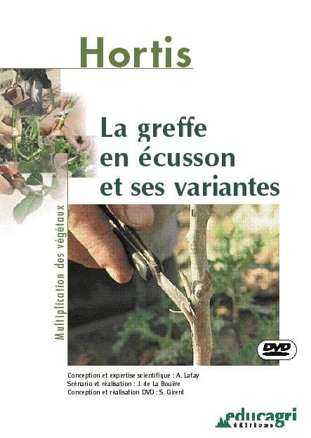 La greffe en écusson et ses variantes