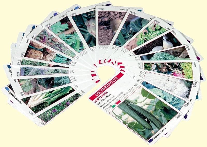 Legum'cartes