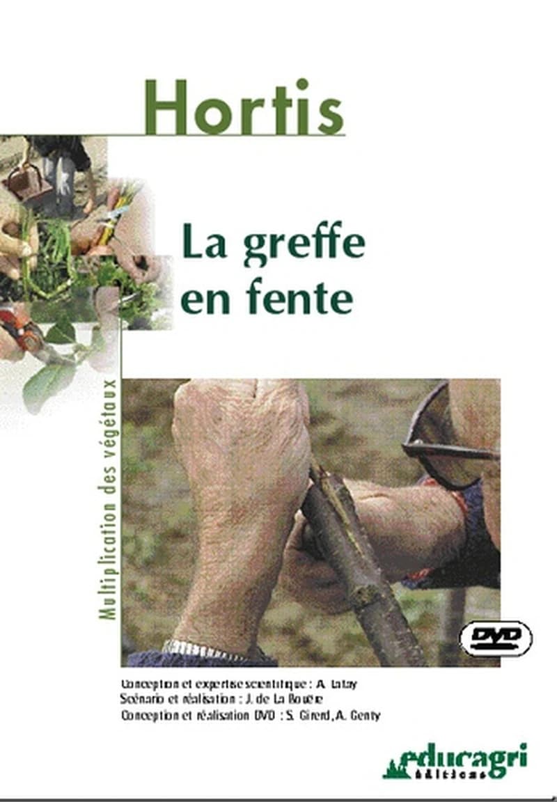 La greffe en fente