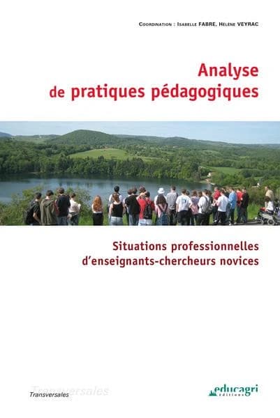 Analyse de pratiques pédagogiques : situations professionnelles d'enseignants-chercheurs novices