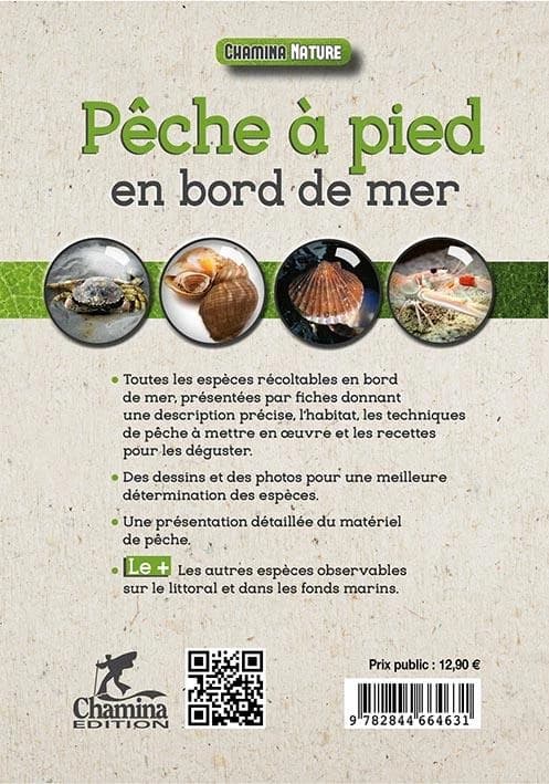 Pêche à pied en bord de mer
