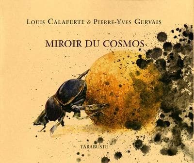 Miroir du cosmos