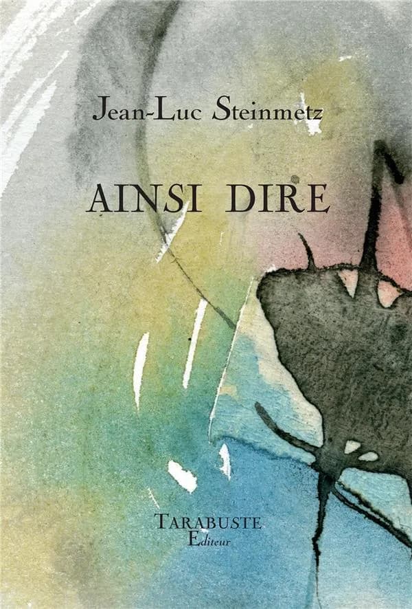 Aisni dire