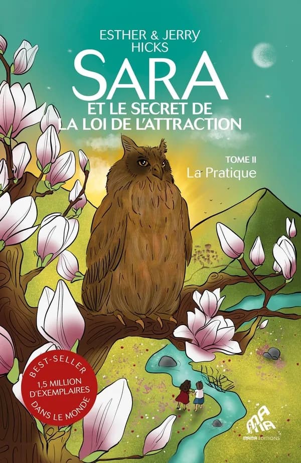 La pratique